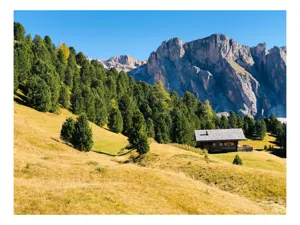 Tablou Canvas, "Cabana liniștită la poalele muntelui", Pădure, Cabana, Munți, Cer, Peisaj, Natură, Dealuri, Verdeață, Liniște, Împăcare, 100 x 100 cm