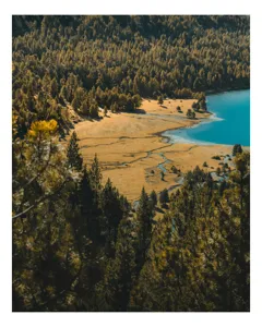 Tablou Canvas, "Pădurea tăcută lângă lac albastru", Pădure, Lac, Toamnă, Munți, Peisaj, Apă, Natură, Culori, Râu, Lumină, 70 x 100 cm