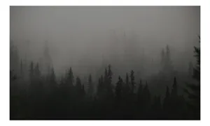 Tablou Canvas, "Ceața misterioasă din pădurea deasă", Ceață, Pădure, Mister, Întunecime, Tăcere, Natură, Enigmă, Umbre, Vârfuri, Melancolie, 100 x 100 cm