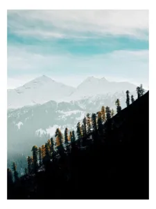 Tablou Canvas, "Copaci solitari pe culmea muntelui blanc", Cer, Munte, Zăpadă, Pădure, Umbre, Copaci, Orizont, Natural, Calm, Frumusețe, 70 x 100 cm