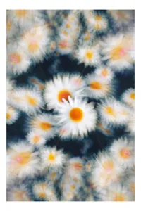 Tablou Canvas, "Dansul visător al margaretelor colorate", Flori, Pătate, Vârtej, Lumină, Estompare, Alb, Galben, Dinamică, Mișcare, Pastel., 39 x 54 cm