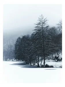 Tablou Canvas, "Copaci înghețați pe malul lacului", Iarnă, Pădure, Zăpadă, Liniște, Apă Înghețată, Copaci, Norii, Peisaj, Umbre, Frig, 50 x 50 cm