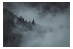 Tablou Canvas, "Pădurea cufundată în ceață albăstruie", Ceață, Pădure, Mister, Tăcere, Umbre, Întuneric, Liniște, Vârfuri, Melancolie, Natură, 100 x 70 cm
