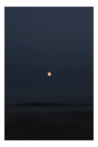 Tablou Canvas, "Luna strălucind peste câmp întunecat", Lună, Noapte, Cer, Siluetă, Mister, Liniște, Întuneric, Natură, Frumusețe, Calm, 39 x 54 cm