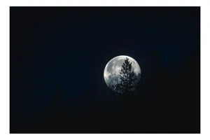 Tablou Canvas, "Luna printre copaci în noapte", Lună, Noapte, Copaci, Siluetă, Cer, Mister, Lumină, Natură, 90 x 50 cm
