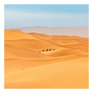 Tablou Canvas, "Caravană de cămile în deșert", Dune, Cămile, Aurii, Albastru, Orizont, Deșert, Nisip, Peisaj, Cer, Valuri, 70 x 100 cm