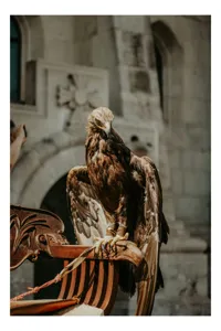 Tablou Canvas, "Vulturul paznic al cetății regale", Vultur, Impunător, Majestuos, Pradator, Elegant, Siluetă, Stăpânitor, Fundal, Natural, Sculptural, 39 x 54 cm