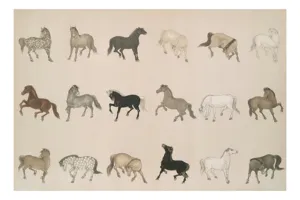 Tablou Canvas, "Cai în diferite mișcări și culori", Cal, Galop, Culoare, Contrast, Frumusețe, Eleganță, Diversitate, Mișcare, Formă, Dinamică, Grație, Artă, Compoziție, Natură, Siluetă, Postură., 100 x 70 cm