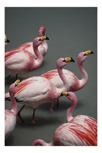 Tablou Canvas, "Dansul grațios al flamingourilor roz", Flamingo, Roz, Aglomerare, Apă, Elegant, Grațios, Exuberant, Seren, Păsări, Strălucitor, 70 x 100 cm