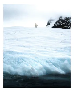 Tablou Canvas, "Un pinguin pe ghețarul înghețat", Pinguin, Zapadă, Gheață, Munte, Nor, Ocean, Antarctica, Solitudine., 100 x 150 cm