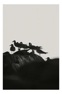 Tablou Canvas Monocromatic Pescăruși pe Stânci Marine, 26 x 39 cm