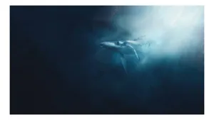 Tablou Canvas, "Balena dansând în lumina albastră", Albastru, Lumină, Balena, Ocean, Nemărginire, Mister, Grație, Profunzime, Frumusețe, Calm., 100 x 100 cm