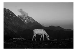 Tablou Canvas, "Măgarul singuratic în munți falnici", Calm, Solitary, Majestic, Serene, Mountainous, Peaceful, Natural, Monochrome, 100 x 70 cm