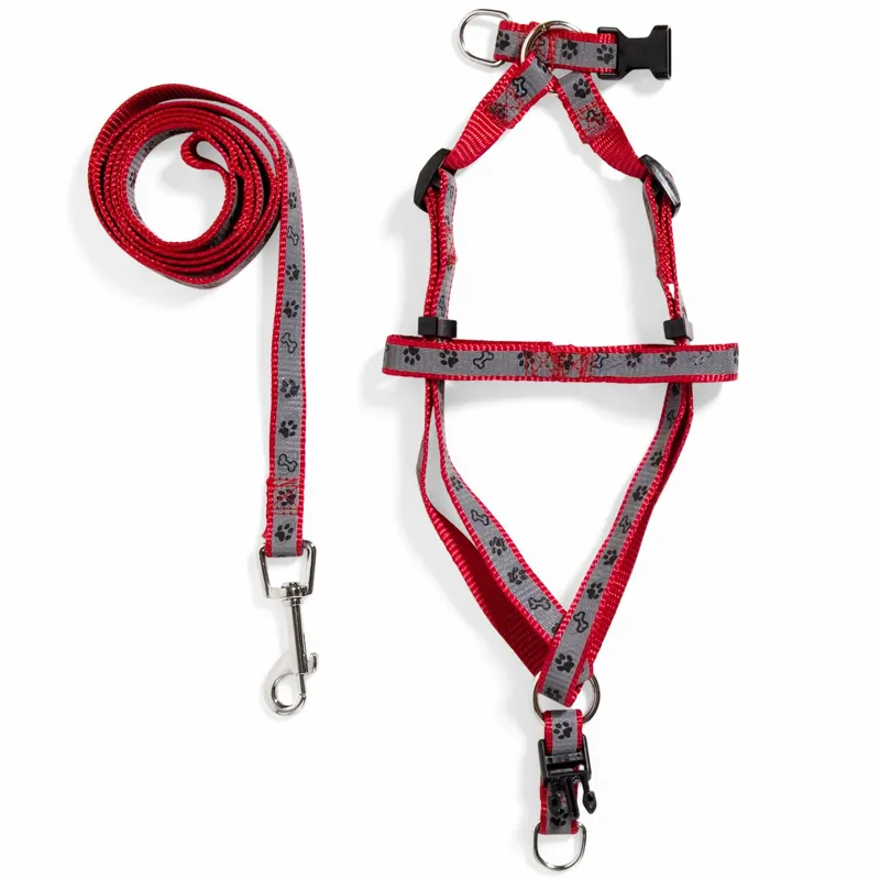 Ham și Lesă pentru Câini, Set, Roșu, Nylon, 120x1.5 cm