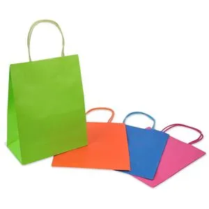 Set 4 Sacose din Hartie pentru Cadou Multicolore