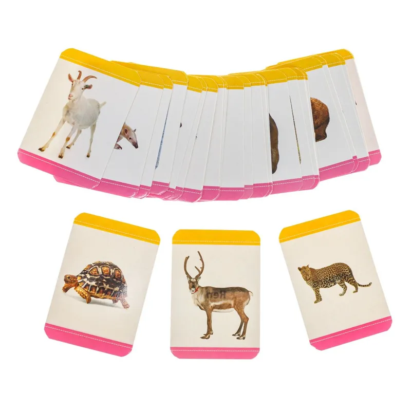 Cartonașe educative mini cu animale, Set 48 buc