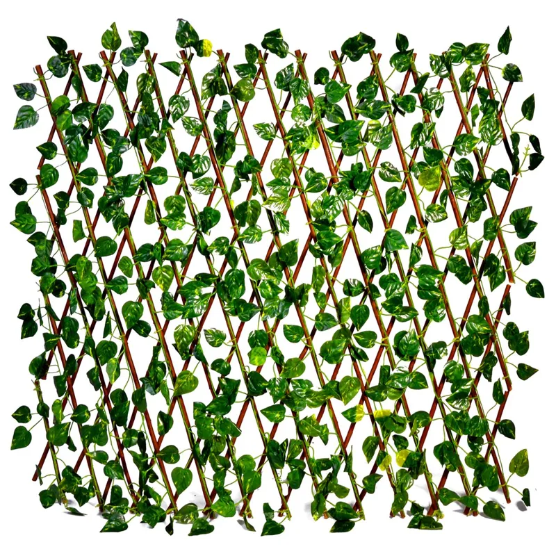 Paravan Decorativ din Lemn cu Frunze Verde 60x180cm