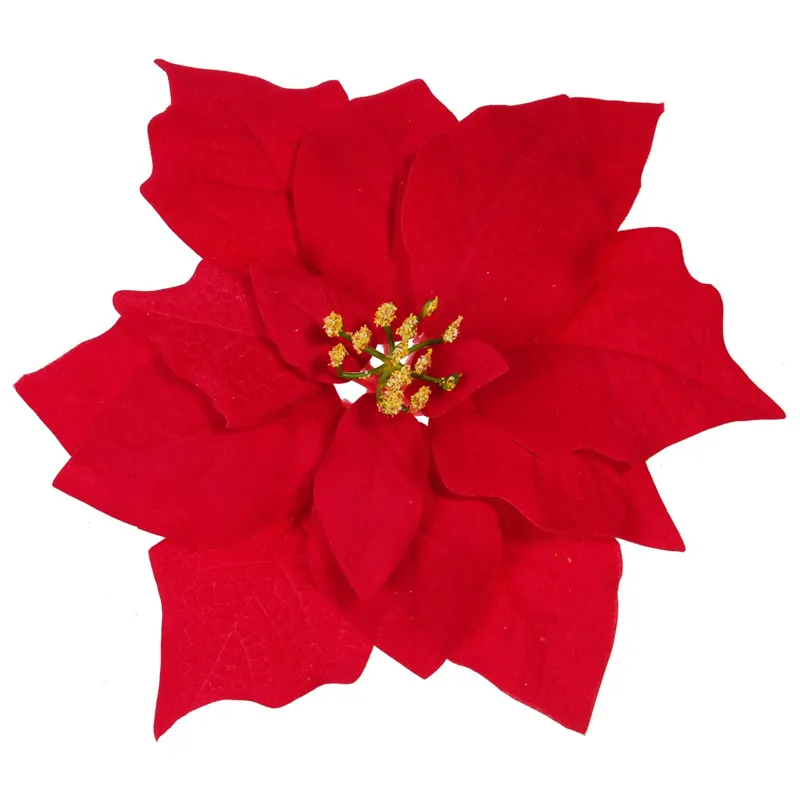 Poinsettia Catifelată Roșie pentru Decorațiuni de Crăciun