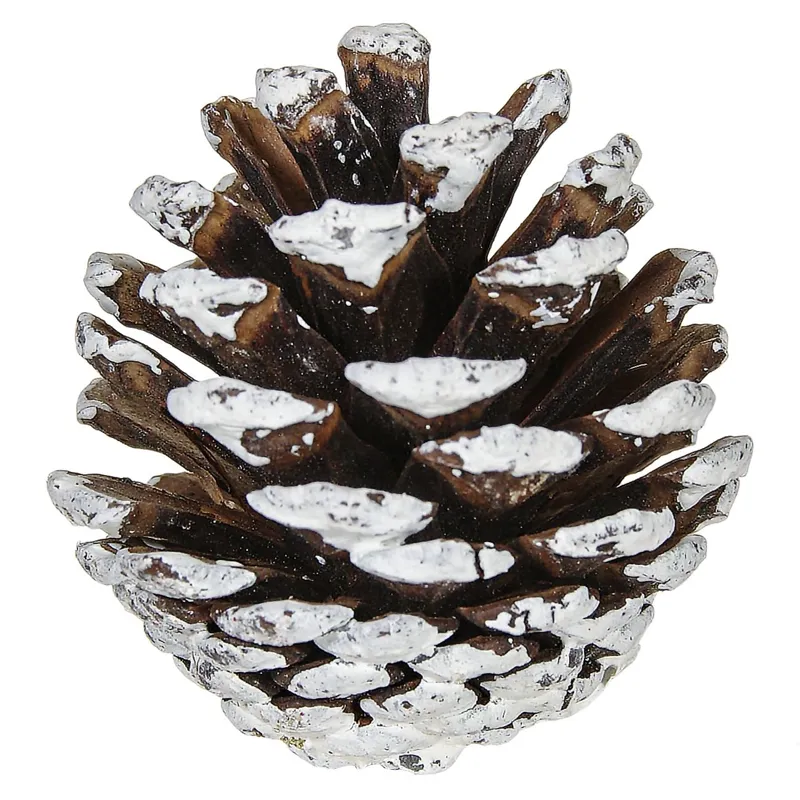 Set Conuri Decorative cu Zăpadă, 20 Bucăți, Dimensiune 5cm, Material Lemn