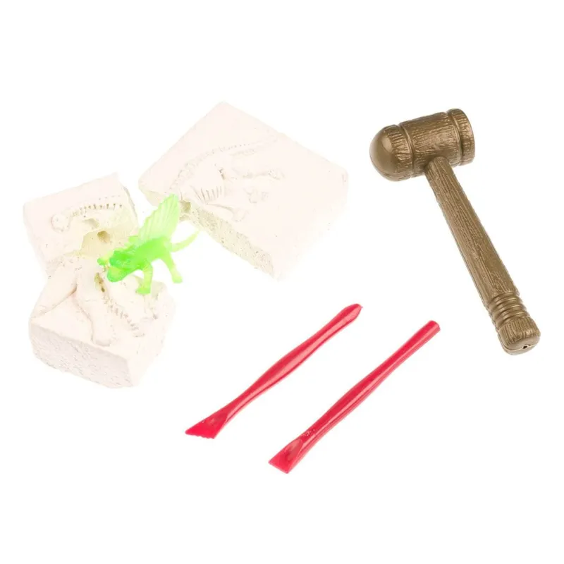Set Excavare Fosile de Dinozauri cu Unelte