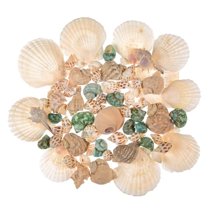 Scoici Decorative Multicolor în Plasă pentru Decorațiuni de Vară