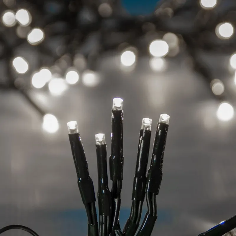 Instalație Lumini LED Alb Rece 800 Becuri 43m Cablu Verde IP44