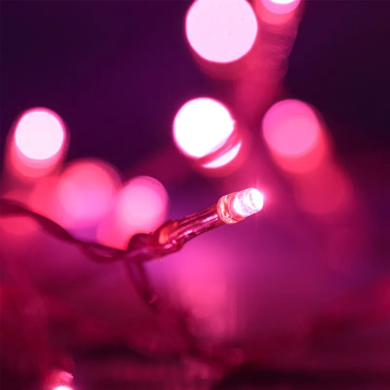 Instalație Lumini LED Fucsia cu Baterii 20 Becuri pentru Interior