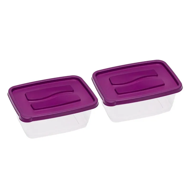 Set Recipiente Alimente Transparente 2.3L cu Capace Mov