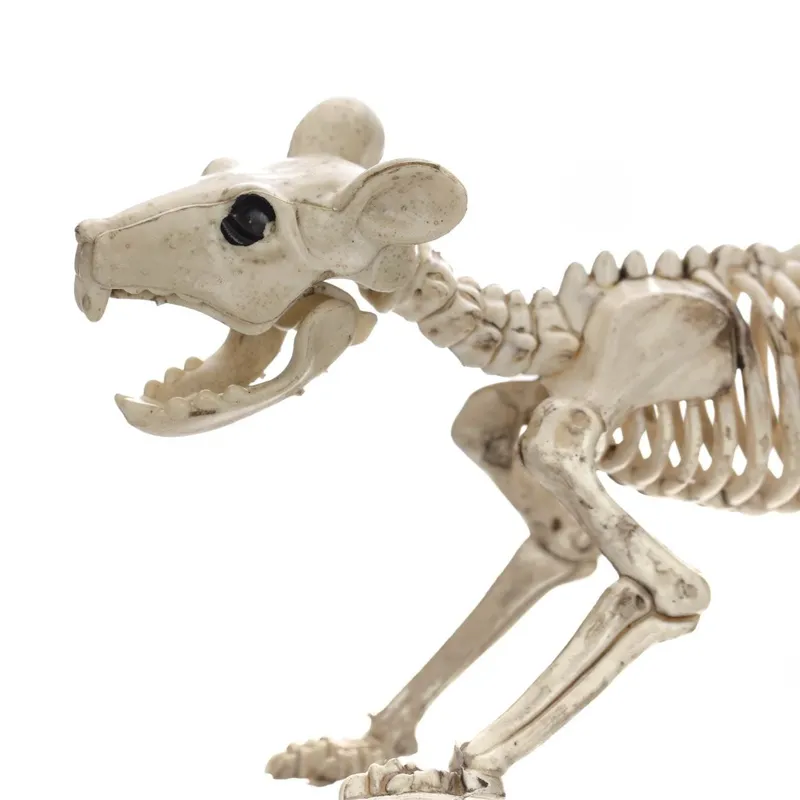 Schelet decorativ de șoarece, 20 cm, bej – poza 2