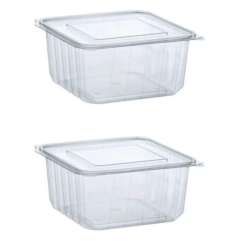 Recipiente Alimentare Transparente de Plastic cu Capacitate 2000cc