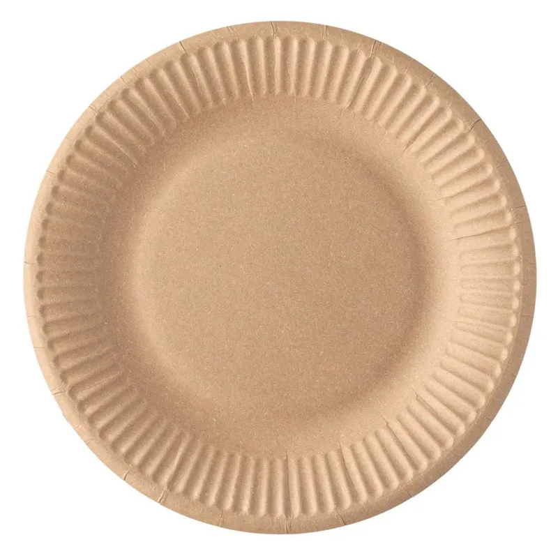 Farfurii de carton craft din hârtie, set de 10 bucăți, diametru 19.5 cm