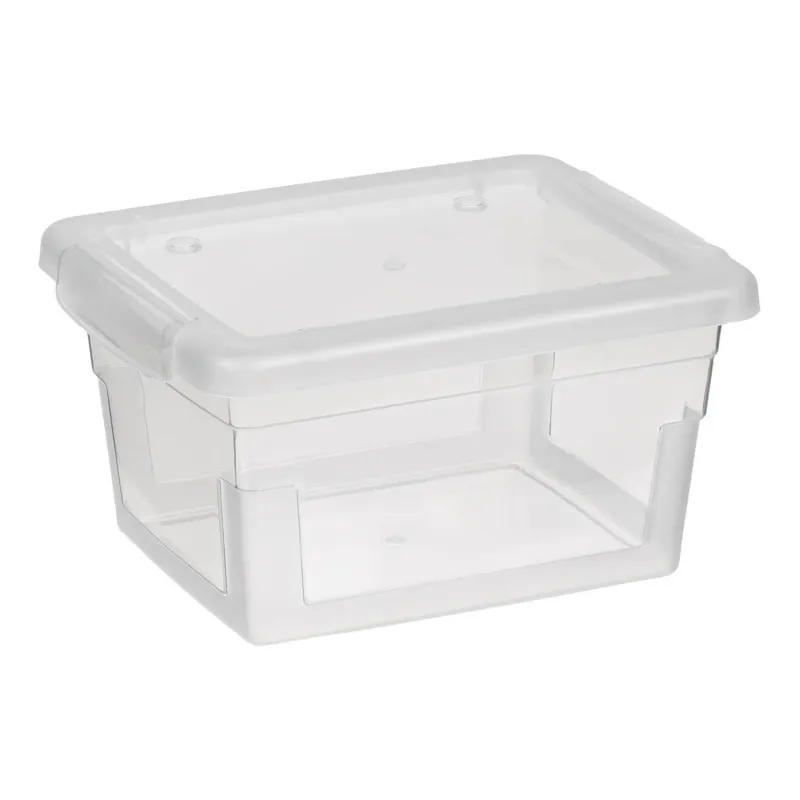 Cutie de Depozitare din Plastic Transparent cu Capac, 1.3L