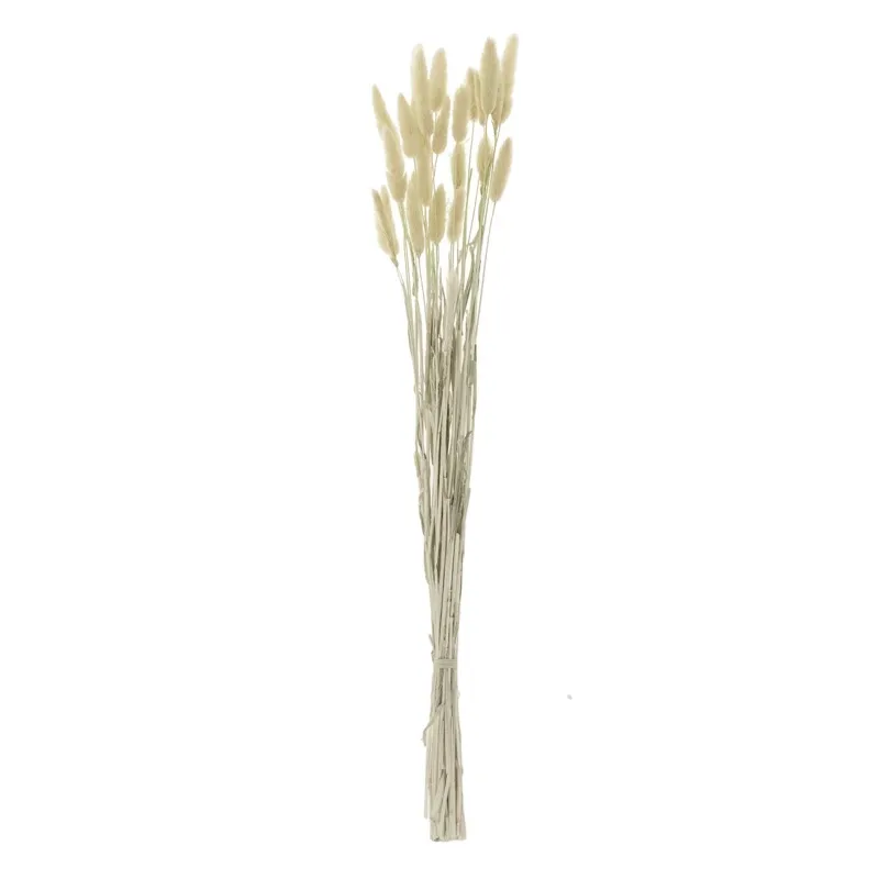 Ramuri decorative Coada Iepurelui, Bej, 60 cm, Aproximativ 25 bucăți
