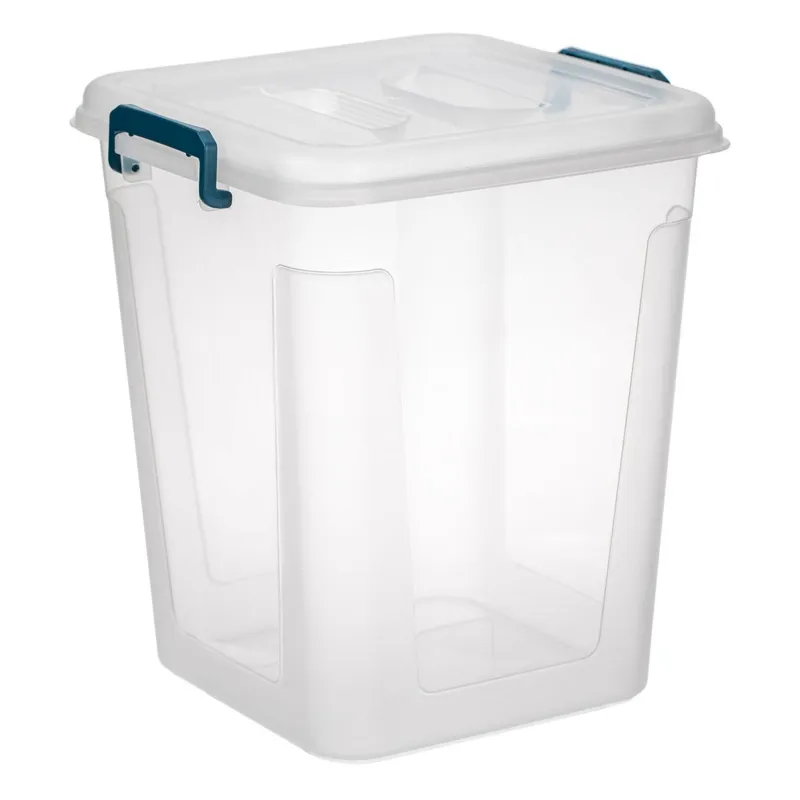 Cutie de depozitare transparentă cu capac și mânere, 9L, plastic fără BPA, pentru congelator