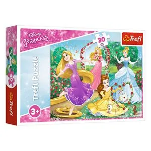 Puzzle cu 4 Printese in Gradina, 30 de Piese, Multicolor