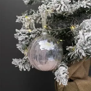 Glob de Crăciun din Sticlă Transparent cu Model Reliefat și Pană, 10 cm – poza 3