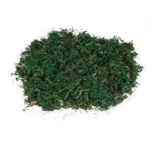 Iraba Decorativa Verde pentru Iesle de Craciun 100g