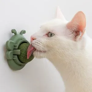 Jucarie de perete pentru pisici fluture verde cu catnip