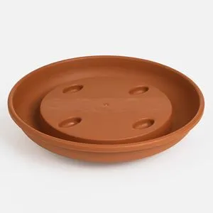 Farfurie Teracota cu Roti și Scurgere pentru Ghiveci
