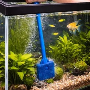 Perie de curățat acvariu, mâner lung, 40 cm, albastru – poza 2