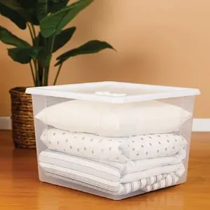 Cutie Depozitare Plastic Transparentă 40L cu Capac