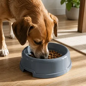 Bol din plastic pentru animale de companie cu picioruși antiderapante – poza 3