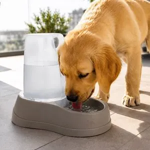 Bol automat cu apă 2L pentru animale de companie, gri