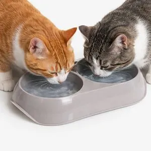 Bol Dublu din Plastic pentru Animale de Companie - Capacitate 200ml