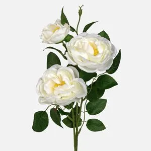 Camelie Alba 3 flori 63cm - Bucet de primăvară elegant