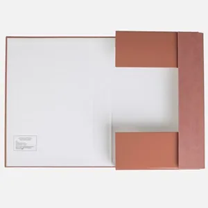 Cutie organizatoare cu elastic, aspect bronz, 35x24x5 cm – poza 4