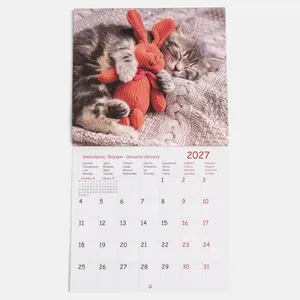Calendar de perete 2027, tematică pisici, 21 x 22,5 cm – poza 3