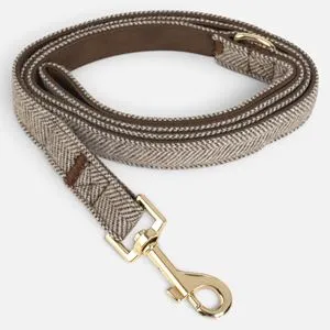 Lesa pentru câini bej maro cu detalii aurii, 120x2 cm, carabină metalică