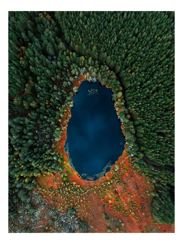 Lacul în inima pădurii toamna, 26 x 39 cm