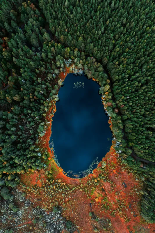 Lacul în inima pădurii toamna, 100 x 150 cm – poza 2